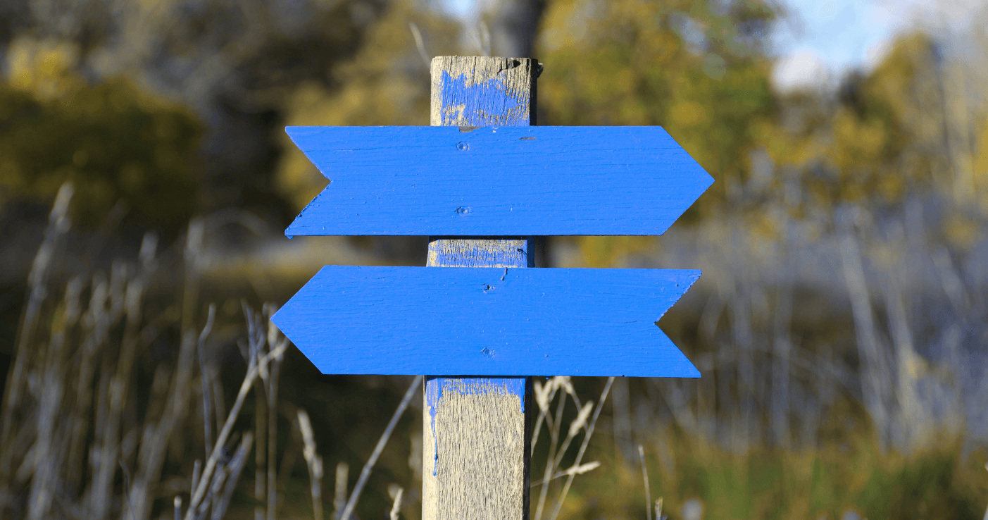 Blue wooden signpost with two arrows pointing in opposite directions, set against a blurred natural background.