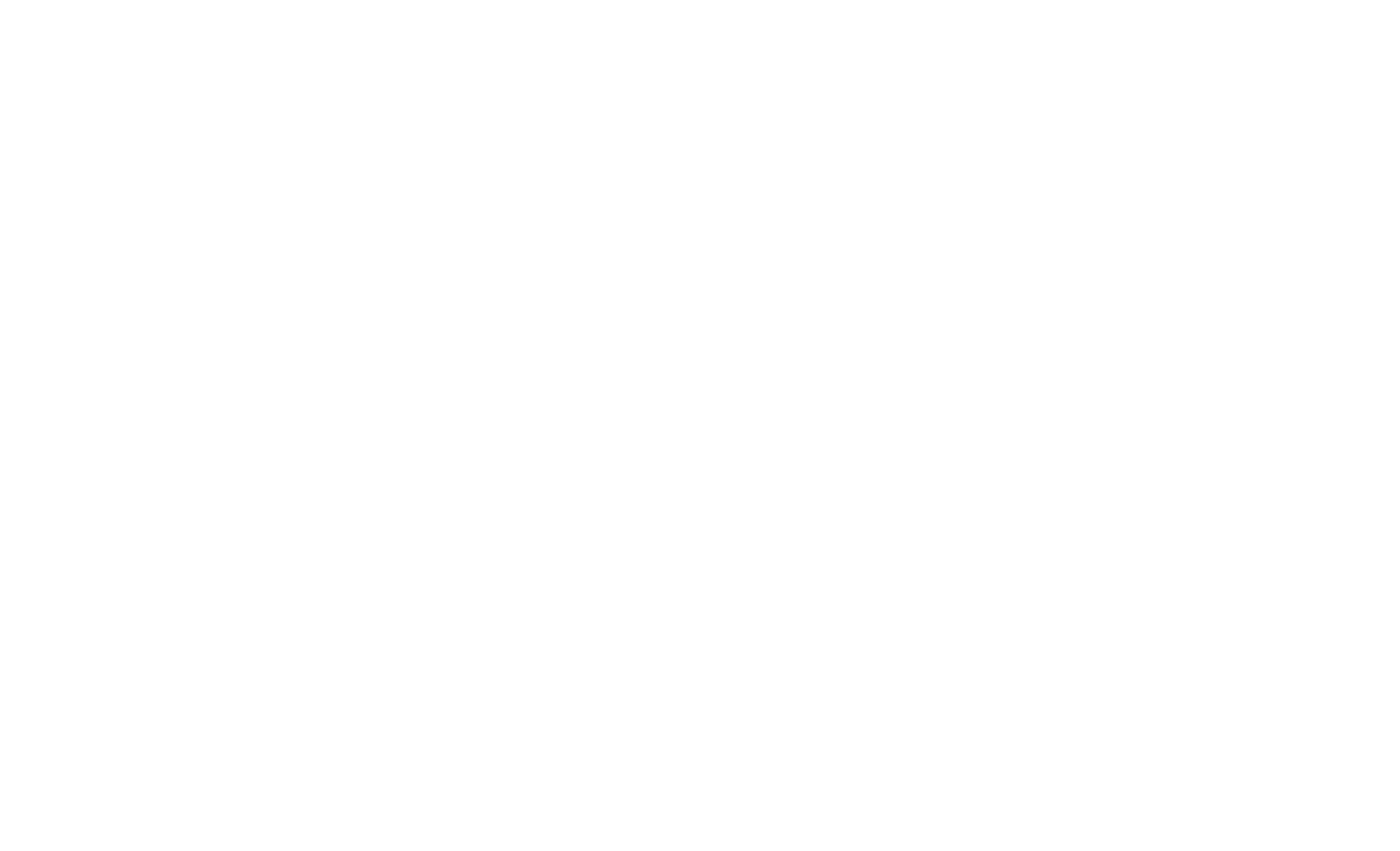 New Pali Logo - white